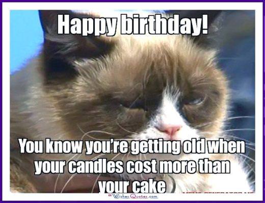 Happy Birthday Memes With Funny Cats, Dogs And Animals