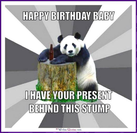 Happy Birthday Memes With Funny Cats, Dogs And Animals