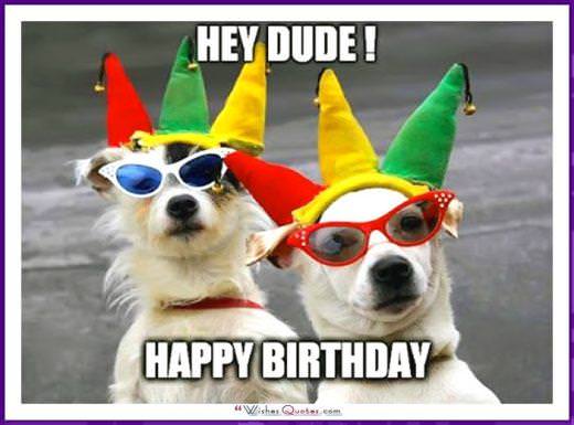 Happy Birthday Memes With Funny Cats, Dogs And Animals