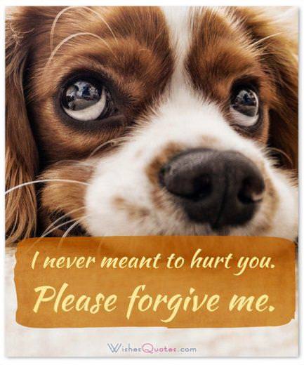 Say you are Sorry to a Friend: I never meant to hurt you. Please forgive me.