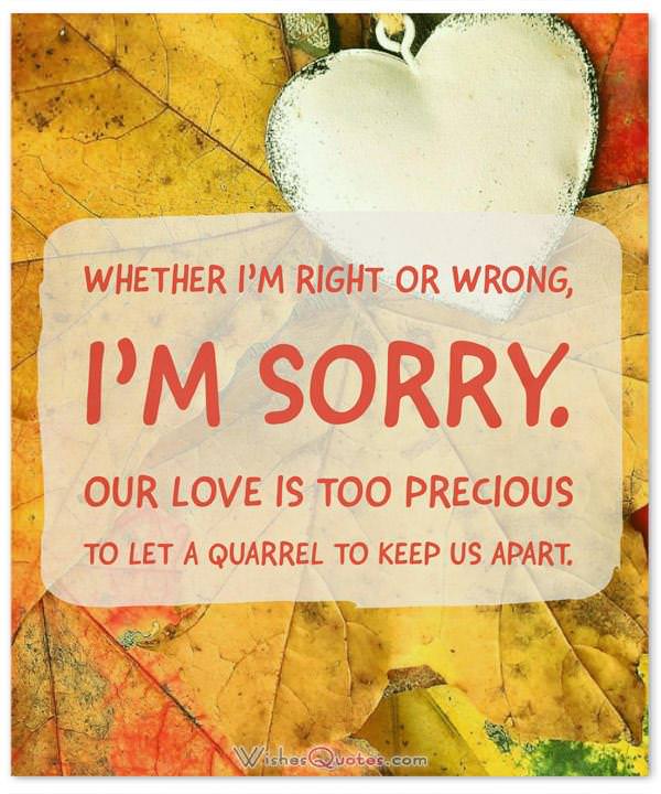 I m Sorry Messages For Boyfriend Sweet Apology Quotes For Him