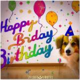 Amazing Birthday Wishes And Cute Cards For Dog Lovers