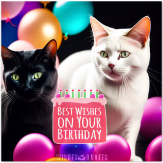 Meow-some Birthday Messages For Your Favorite Cat Person!