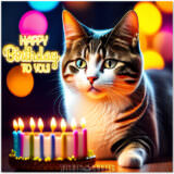 Meow-some Birthday Messages For Your Favorite Cat Person!