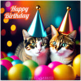 Meow-some Birthday Messages For Your Favorite Cat Person!